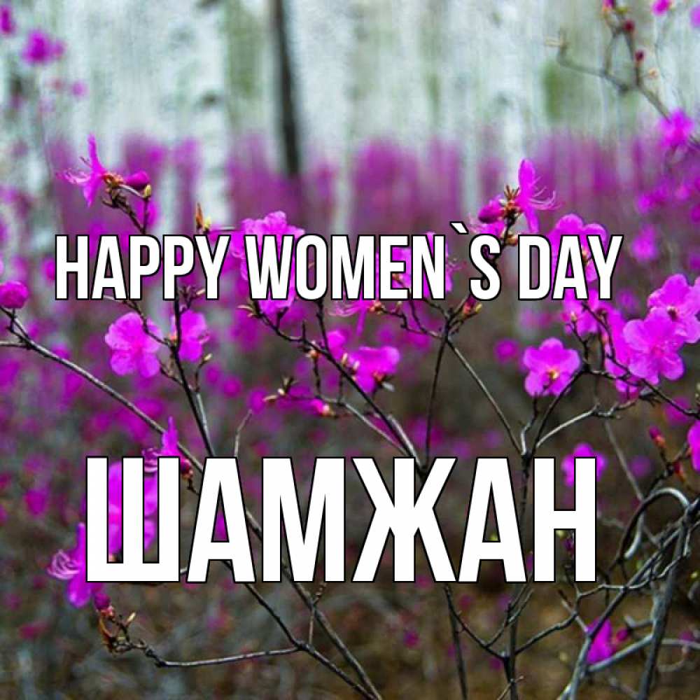 Greetings card с именем, ШАМЖАН happy women`s day дикие цветы Greetings with text for free download 